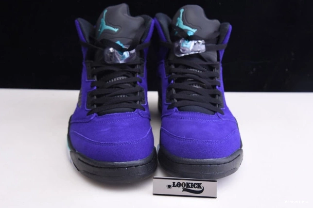 HYPE 5 136027-500 Alternate Grape Jordan Air Retro 0811